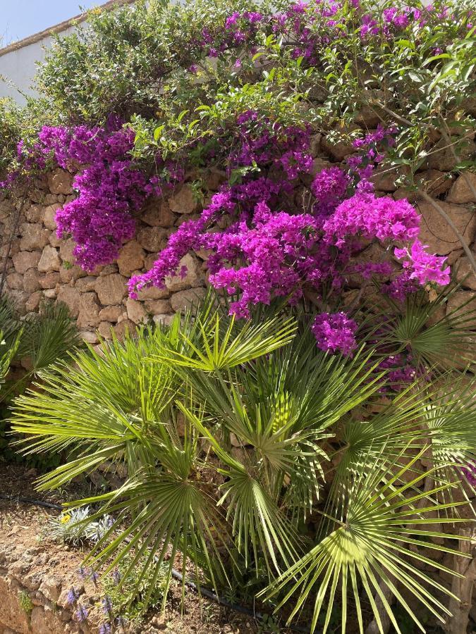 Terraced House In The Mountains With Fantastic View Ferienhaus Málaga